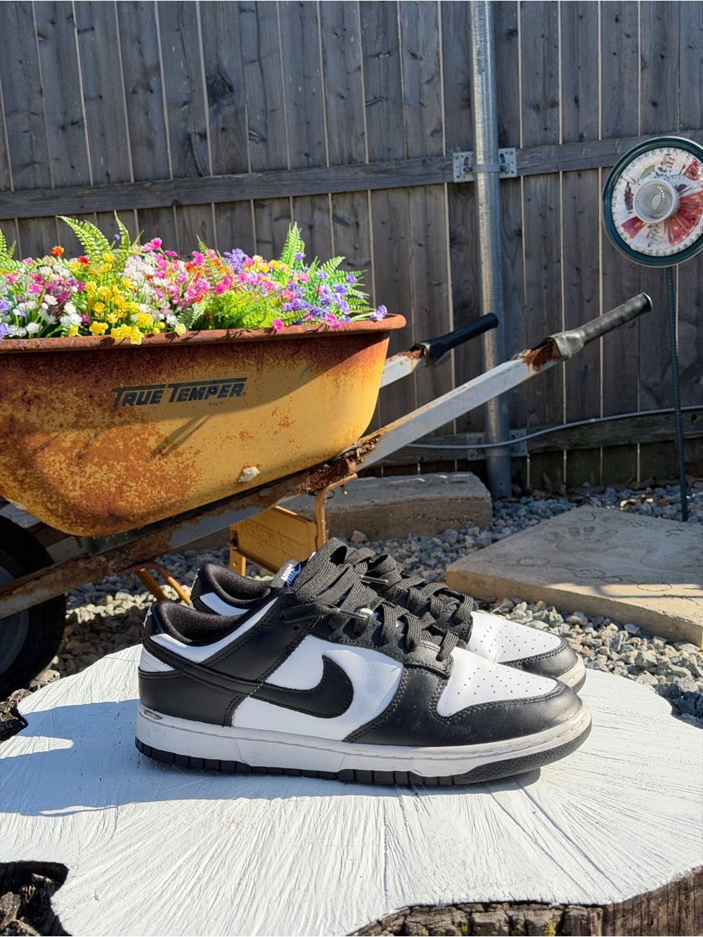 Nike dunk panda